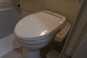 The 21st century toilet